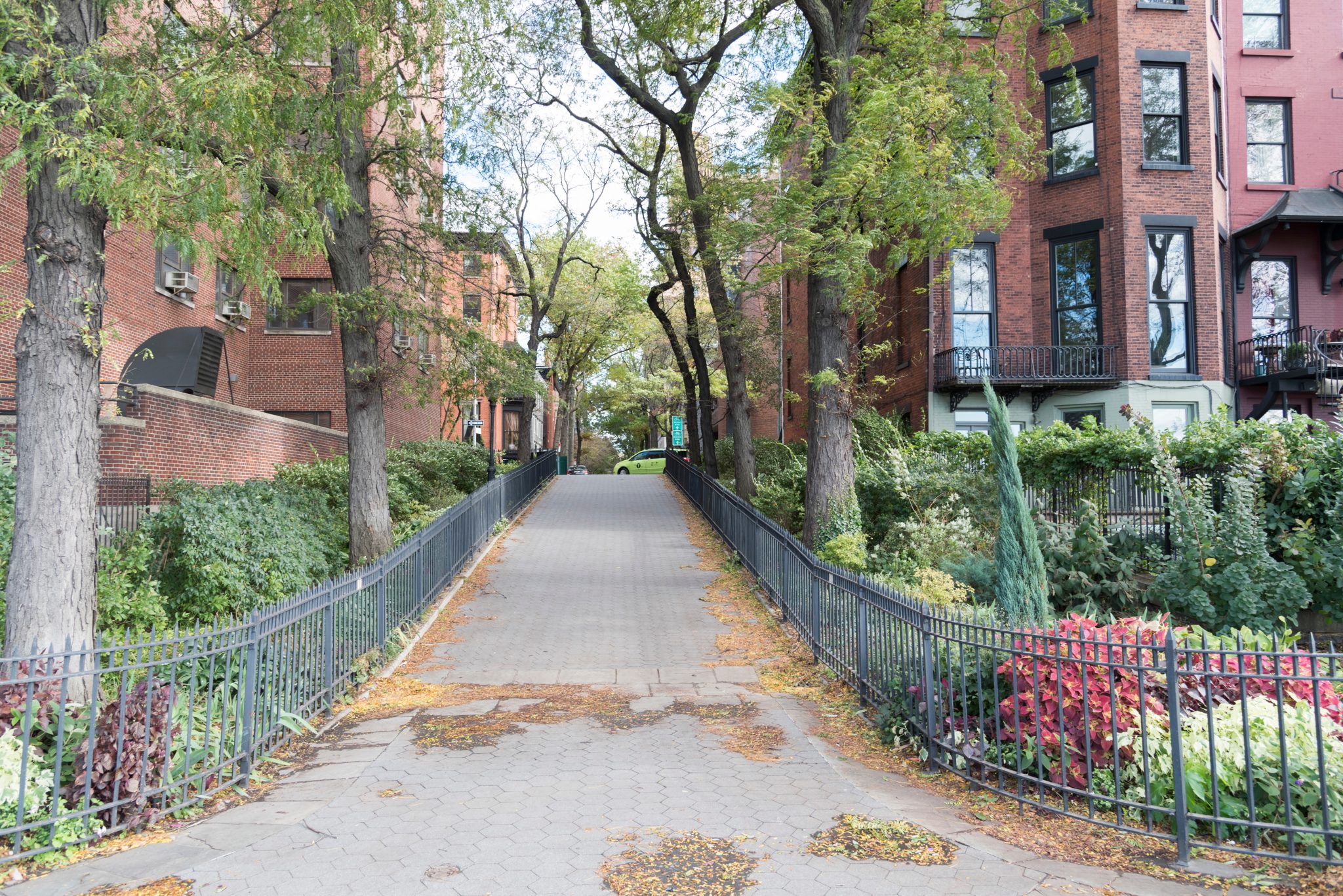 Green urban neighborhood