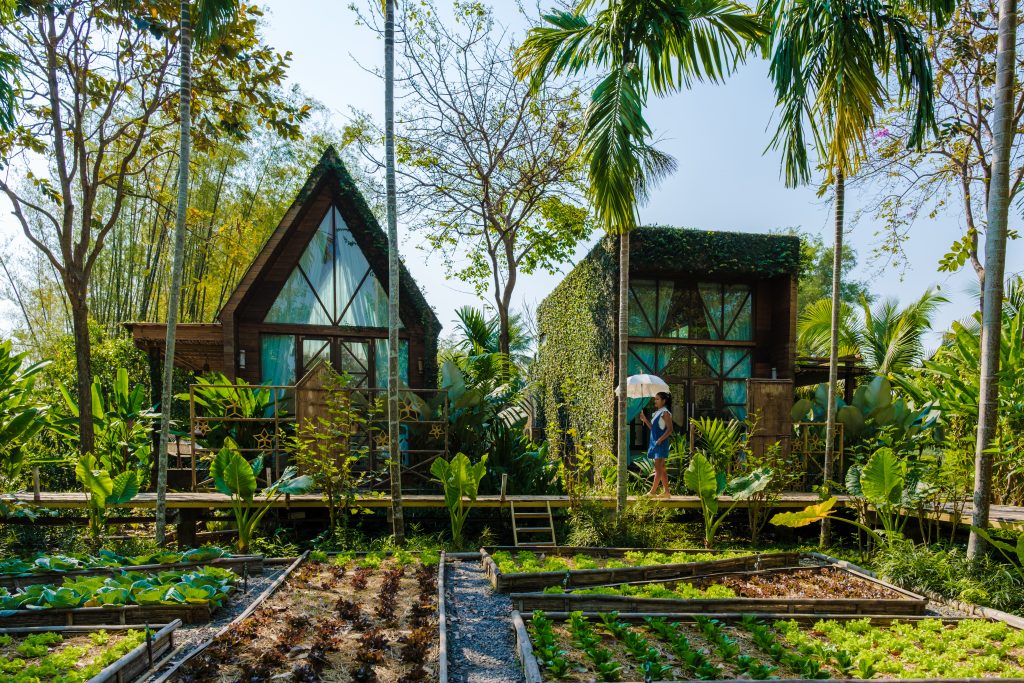 Green Living in the USA Top 5 Sustainable Neighborhoods Across The United States Of America