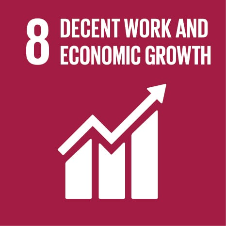 Sustainable Development Goal 8: Decent Work and Economic Growth